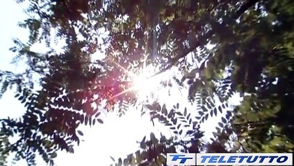 Video News - CLIMA, IL BIENNIO PIU' CALDO DI SEMPRE