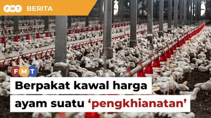 Berpakat sehingga sukar kawal harga ayam suatu ‘pengkhianatan’, kata timbalan menteri