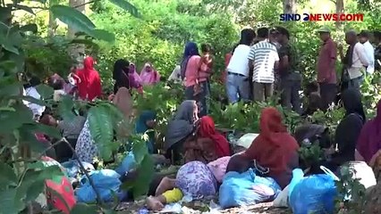Warga Pidie Aceh Pindahkan 180 Pengungsi Rohingya ke dalam Hutan