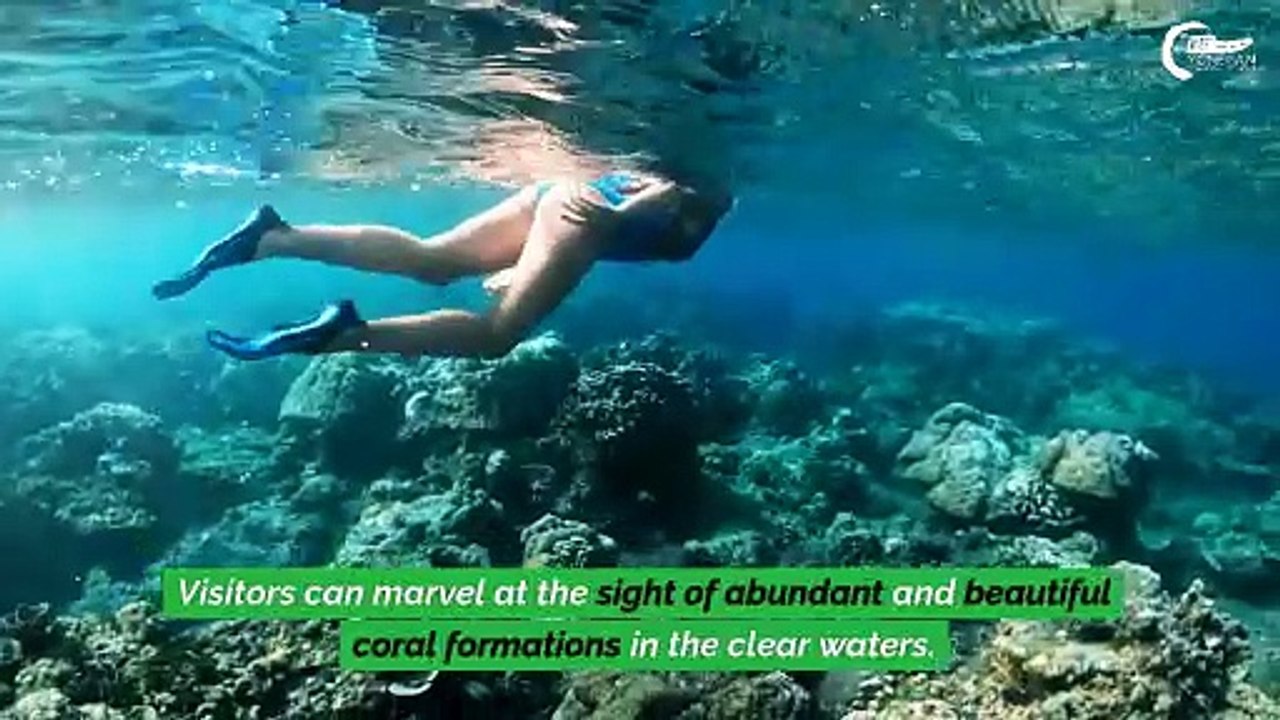 What To Expect During A Snorkeling Trip To Molokini Crater