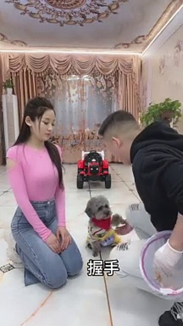 这招真的很管用，不信你们也试试。。#宠物成精啦 #汪星人 #狗狗 #搞笑