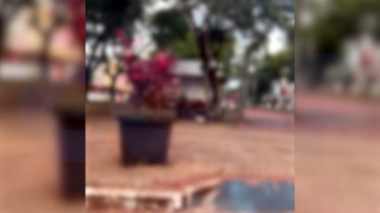 Indivíduos são flagrado cheirando cocaína em pleno calçadão de Cascavel