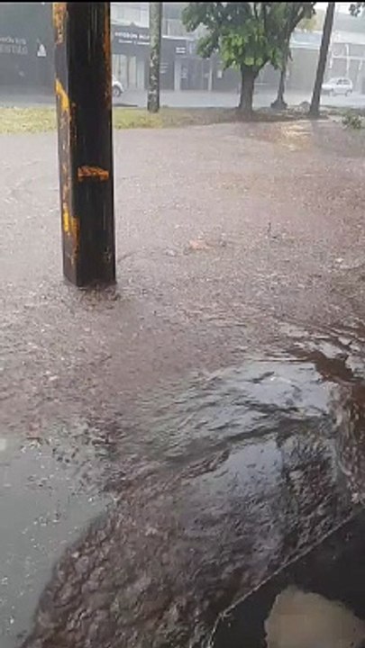 Temporal atinge a região, derruba árvores e causa pontos de alagamento em Umuarama