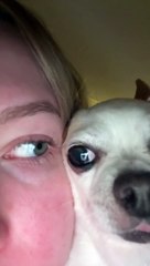 Two Halves Of A Whole