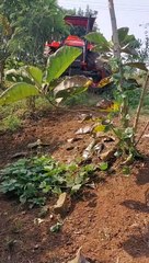 Tractor videos // how to rotavate // tractor equipment and mechine // rural village tractor videos