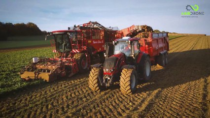  HOLMER Terra Dos 5 - VINCANT & FILS