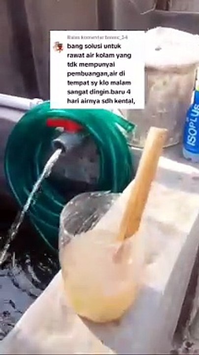 Begini resikonya jika buat kolam tanpa drainase❗ Kontrol amonia saja susah