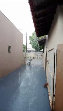 Temporal atinge a região, derruba árvores e causa pontos de alagamento em Umuarama