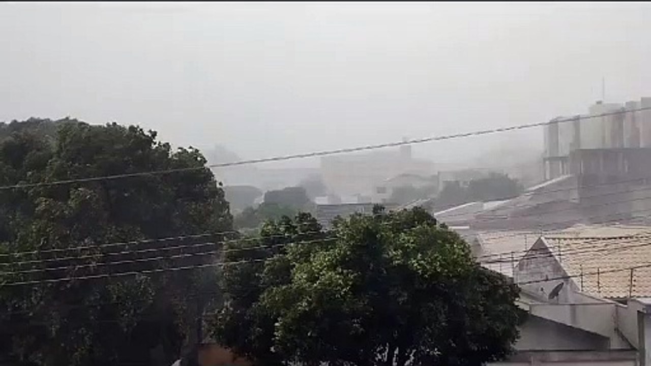 Temporal atinge a região, derruba árvores e causa pontos de alagamento em Umuarama