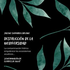 -Jacobo Shemaria Capuano- Soluciones para la contaminación del agua: (Parte 2) (Creado por @JacoboShemariaCapuano)