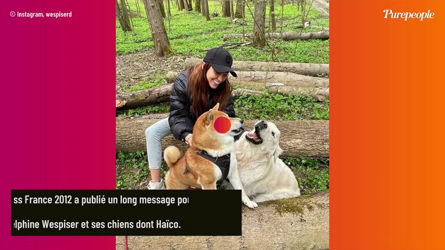 Tu étais ma passion, ma priorité, mon refuge : Delphine Wespiser pleure la mort d'Haïco, un être si cher à ses yeux