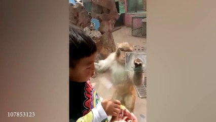 20 Minutes Of Funniest Animals 2023 -- Best Dogs Videos