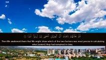 Surat Alkahf Tariq Mohammed beautiful Heart melting️voice soothing Quran Recitation