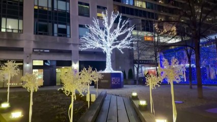 لأول مرة.. الكنديون يفتقدون الثلوج في الأعياد