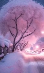 in 2024 put god first