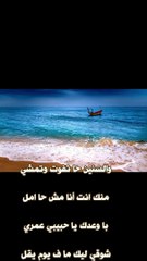#shorts   شيرين-انا كلي ملكك 7- فيديو كليب #love