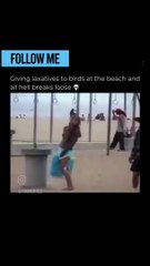 Giving laxatives to birds in beach