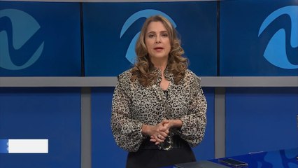 Resumen de investigaciones sobre Santana Barbershop | Nuria Piera