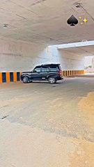 Scorpio Balck horse black Scorpio