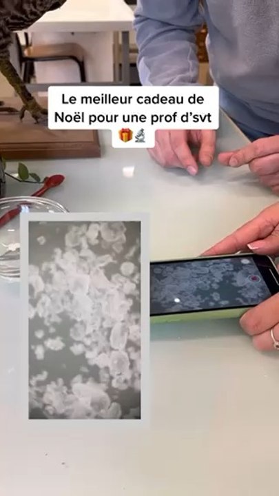 Elle a adoré, et vous?? 