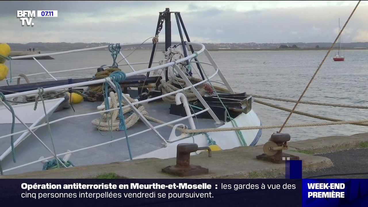 La pêche va être interdite durant un mois dans le golfe de Gascogne afin de préserver les dauphins