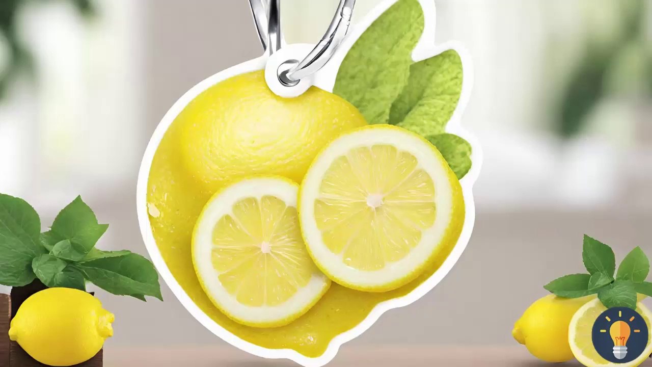 DIY Homemade Lemon Air Fresheners Vidéo Dailymotion