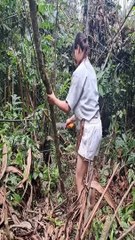 Wild Forest Adventure Solo Girl Camping Extravaganza