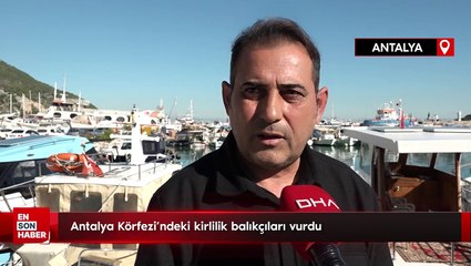Antalya Körfezi'ndeki kirlilik balıkçıları vurdu