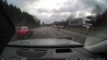Dashcam footage shows moment traffic stops for dog on M1 motorway near Sheffield