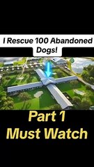 I Rescue 100 Abandoned Dogs