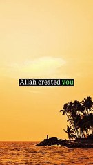 Allah has a plan for you #islamic #islamicstatus #mufti_menk #allah #shortvideo