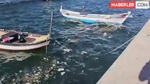 Bandırma'da lodos etkili oldu, sahili çöp bastı