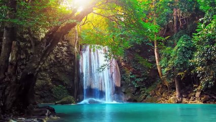 Relaxing Music For Stress ReliefAnxiety and Depressive States • Heal Mind_ Body and Soul