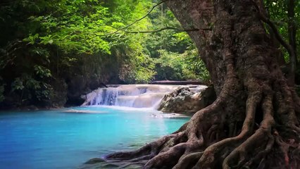 Relaxing Music For Stress Relief_ Anxiety and Depressive States • Heal Mind_ Body and Soul
