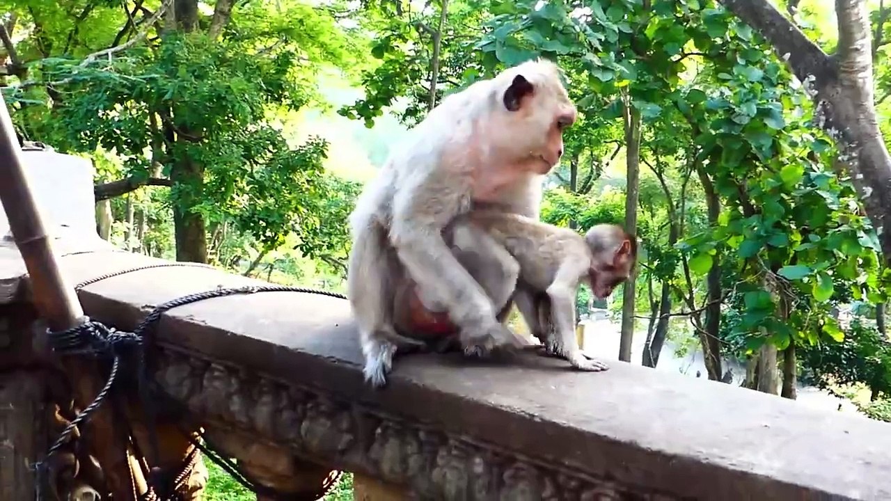 Mother Angry At Baby, Monika Abandon Mother, Brother Help Sister But Left Half Way, Male Bridge Her (720p_25fps_H264-192kbit_AAC)