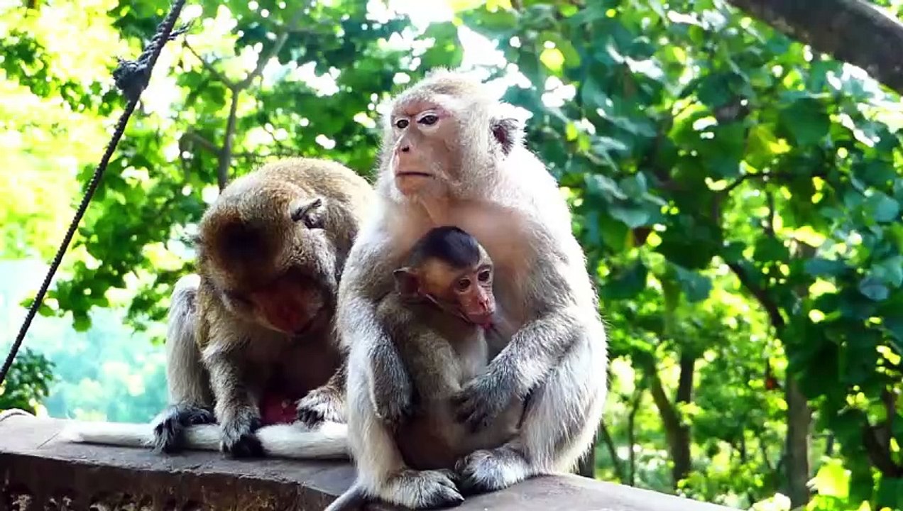 Mother Left Baby Emilo Cry Shaking For Long, Emila Sits On The Fence With Partner Romantically (720p_25fps_H264-192kbit_AAC)