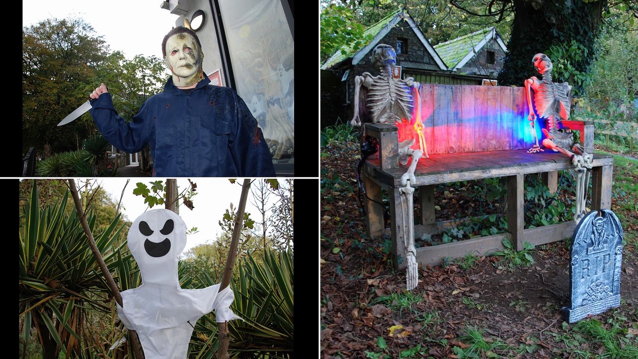 Dartmoor Zoo Halloween Boo at the Zoo 2022 Halloween Slide show 2022