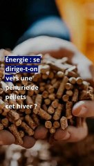 Énergie : se dirige-t-on vers une pénurie de pellets cet hiver ?