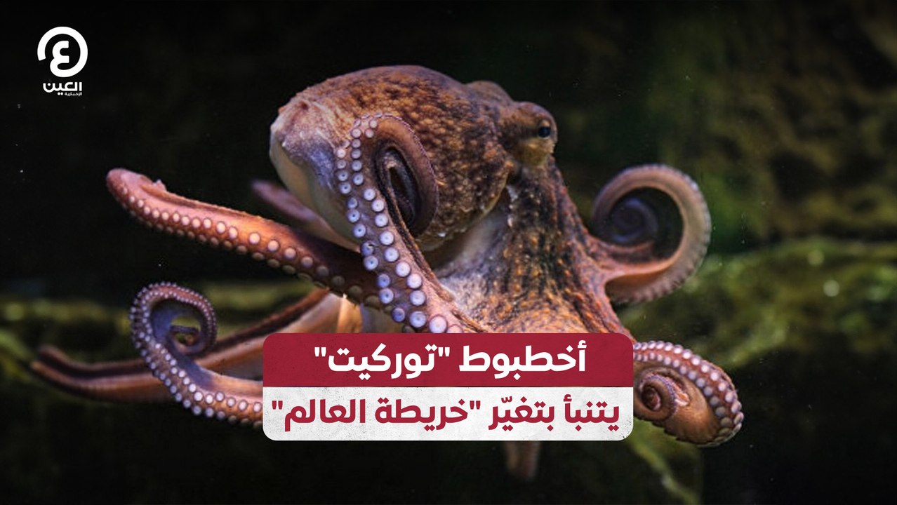 أخطبوط "توركيت" يتنبأ بتغيّر "خريطة العالم"