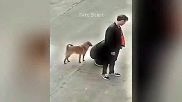 ytshortsindia morsomt haha ​​​​#cutebaby#comdy #comedys #babs#comedyshorts#cuteanimalsytshortsindia#ytshortsindia 有趣哈哈#cutebaby #comdycomedys #ba#comedyshorts #cuteanimals#ytshortsindia#ytshortsindiaمضكههههه#cutdy #comedys #babs#comedyshorts#cuteanimals#y