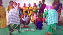 Traditional Wedding of Adivasi | Adivasi Wedding | Wedding#adivasi #wedding #marriage #