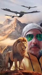 الملامح اسد والقلب مش موجود - رضا البحراوى - حالات واتس ٢٠٢٤