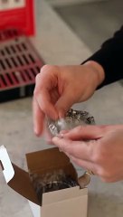 _NEW_ Espresso Machine ASMR Unboxing #shorts