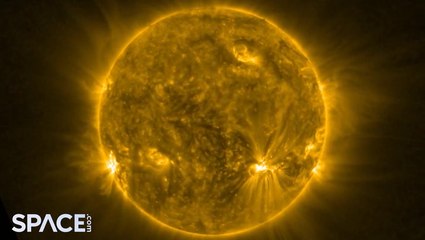 Watch a 'Solar Snake' Slither Across the Sun in Stunning Orbiter View 🌞