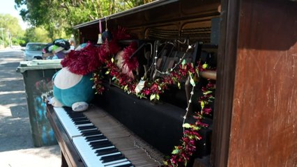 Far North Queensland residents mark Christmas in the wake of flood disaster