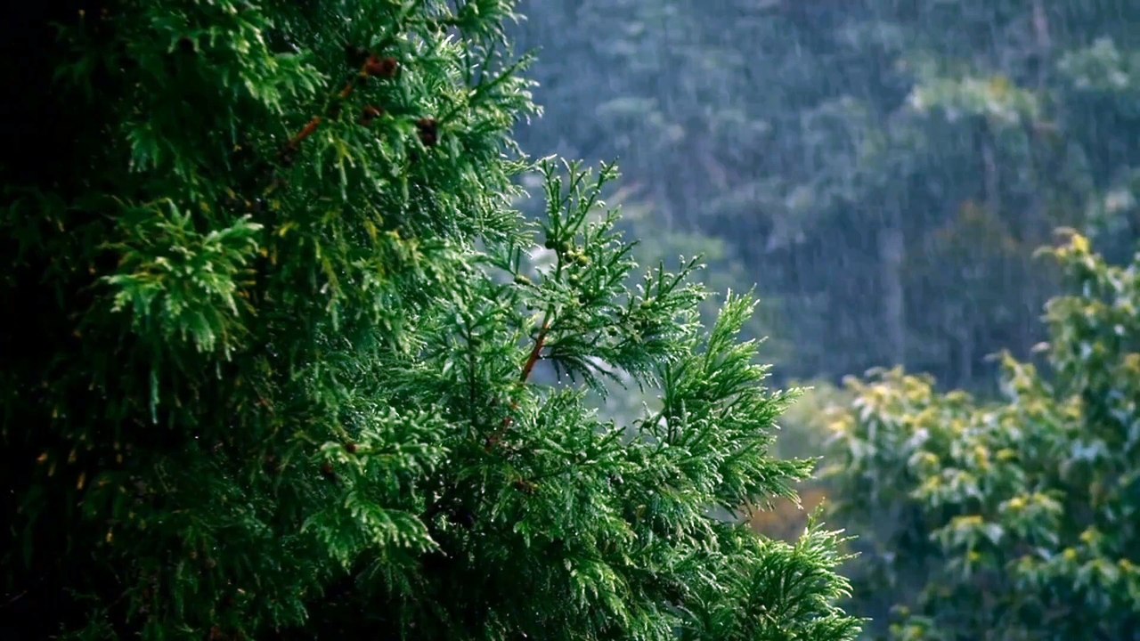 Relaxation avec son de pluis