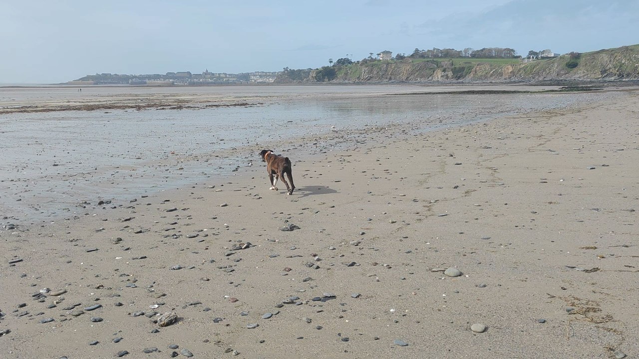 découverte de la plage