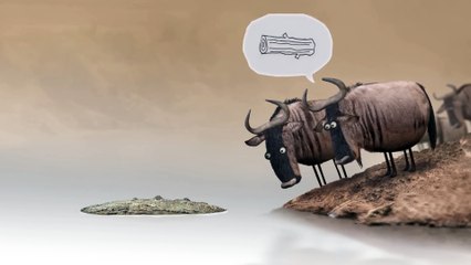 Wildebeest from Birdbox Studio.