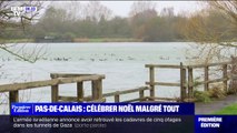 Dans le Pas-de-Calais, les sinistrés des inondations fêtent Noël malgré tout