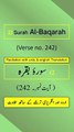 Surah Al-Baqarah Ayah/Verse/Ayat 242 Recitation (Arabic) with English and Urdu Translations